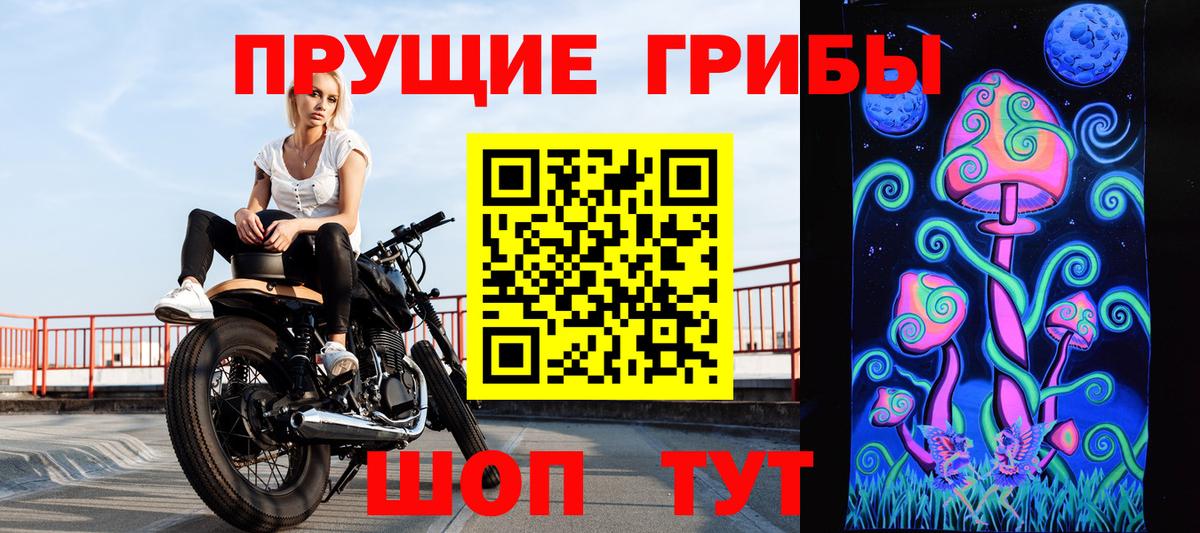 Псилоцибиновые грибы прущие грибы Острогожск